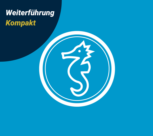 Bild von Seepferdchen-Weiterführung Kompaktkurs 5 UE